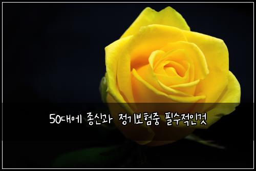50๋์ ์ข
์ ๊ณผ ์ ๊ธฐ๋ณดํ์ค ํ์์ ์ธ๊ฒ