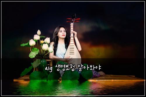 aig 생명보험 알아봐야 