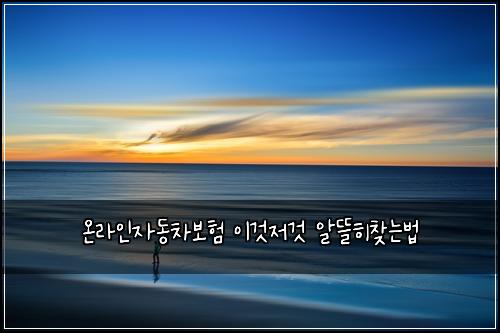 온라인자동차보험 이것저것  알뜰히찾는법