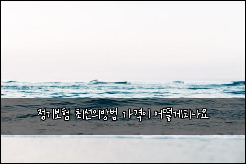 정기보험 최선의방법  가격이 어떻게되나요