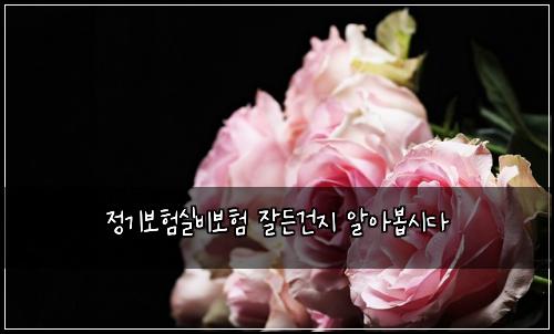 정기보험실비보험 잘든건지 알아봅시다