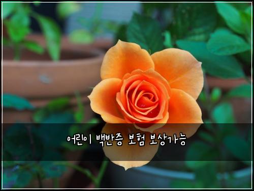 어린이 백반증 보험 보상가능 