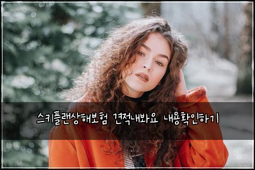 스키플랜상해보험 견적내봐요  내용확인하기