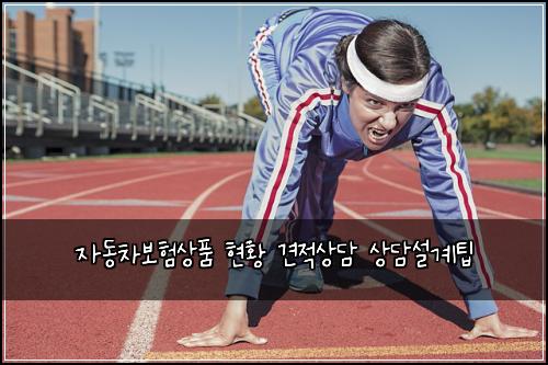 자동차보험상품 현황 견적상담 상담설계팁