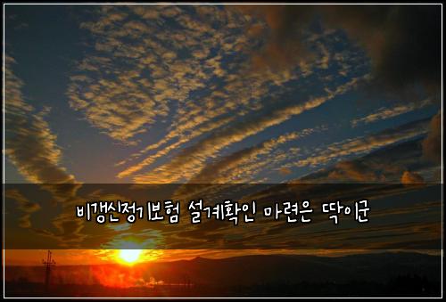 비갱신정기보험 설계확인  마련은 딱이군