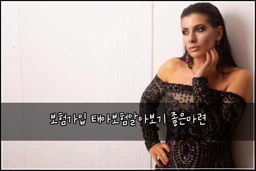 보νκ°μ
νμ보νμμ보기 μ’μλ§λ ¨