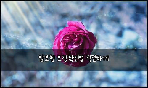 암보험 보장확인법  적절하게