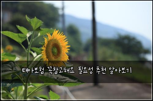태아보험 꼭참고해요  필요성 추천 알아보기
