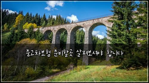 중고차보험 준비할곳  살펴보셔야 합니다