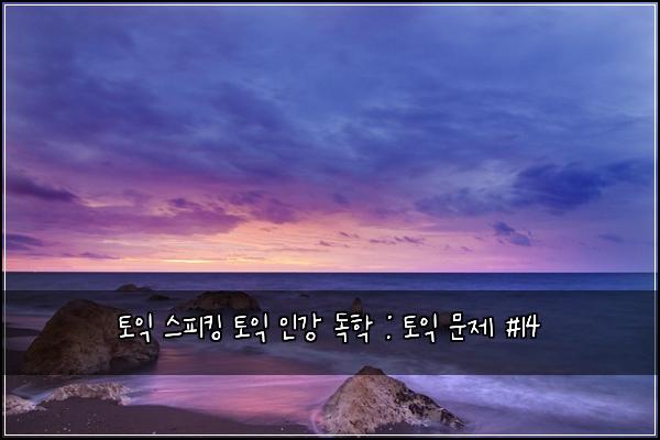 토익 스피킹 토익 인강 독학 : 토익 문제 #14