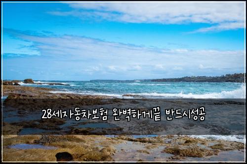 28세자동차보험 완벽하게끝  반드시성공