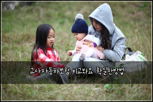 교사자동차보험 비교봐요  확실한방법