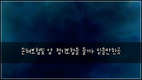 손해보험및 암 정기보험을 들까 믿을만한곳