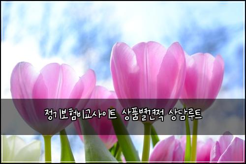 정기보험비교사이트 상품별견적 상담루트