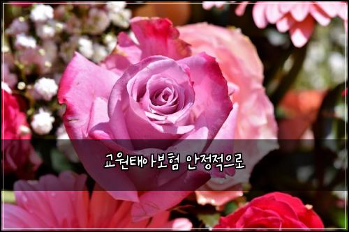 교원태아보험 안정적으로 