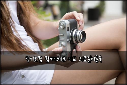 정기보험 함께체크  비교 의료실비흥국