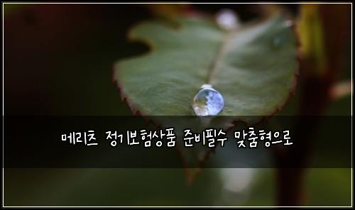 ๋ฉ๋ฆฌ์ธ ์ ๊ธฐ๋ณดํ์ํ ์ค๋นํ์ ๋ง์ถคํ์ผ๋ก