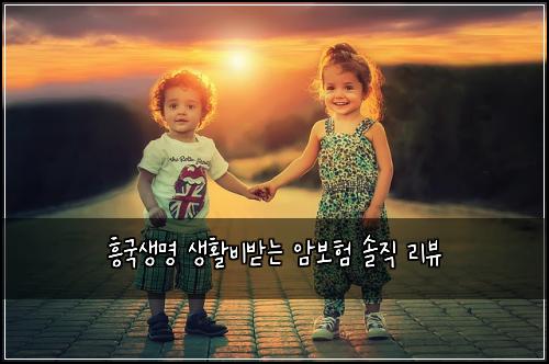 흥국생명 생활비받는 암보험 솔직 리뷰