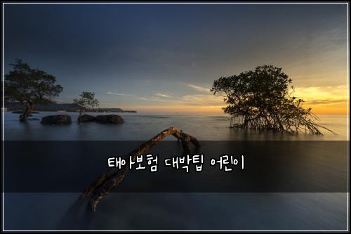 태아보험 대박팁  어린이