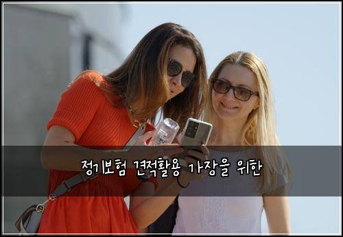 정기보험 견적활용  가장을 위한