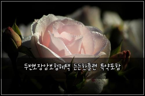 두번보장암보험혜택 든든한플랜 특약포함
