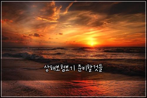 상해보험보기 준비할것들
