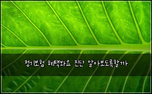 정기보험 혜택봐요  진단 알아보도록할까