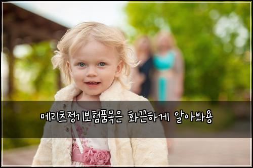 메리츠정기보험품목은 화끈하게 알아봐용