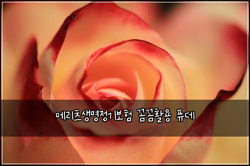 메리츠생명정기보험 꼼꼼활용  퓨데