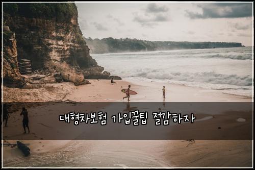 대형차보험 가입꿀팁  절감하자