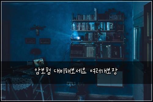 암보험 대비해보세요  여러개보장