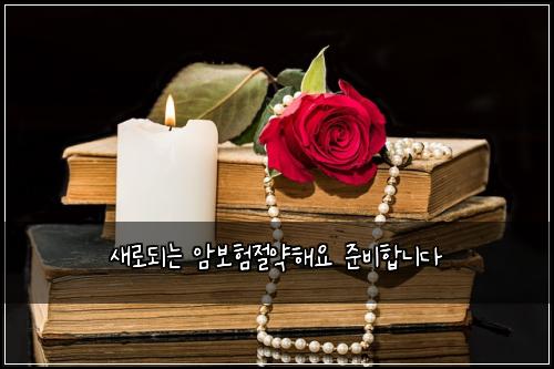 새로되는 암보험절약해요 준비합니다