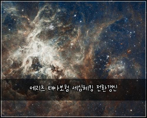 메리츠 태아보험 세심체킹  전환갱신