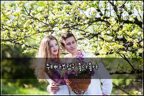 주태아보험구 좋다좋아