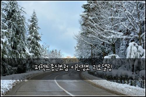 퍼펙트종신보험 이런정보  리모델링