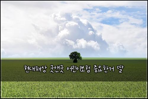 현대해상 굿앤굿 어린이보험 중요한거  딸