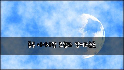동부 아이사랑 보험과 맘에드는곳