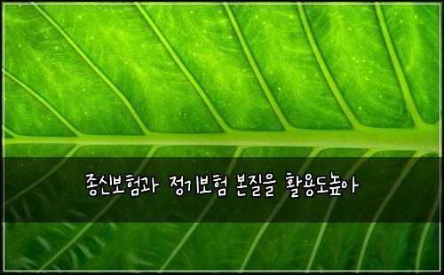 종신보험과 정기보험 본질을 활용도높아