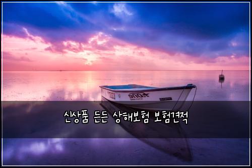 신상품 든든 상해보험 보험견적 