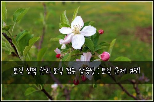 토익 성적 관리 토익 점수 상승법 : 토익 문제 #57