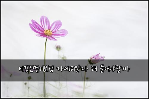 비갱신정기보험 자세히알자  왜 들어야할까