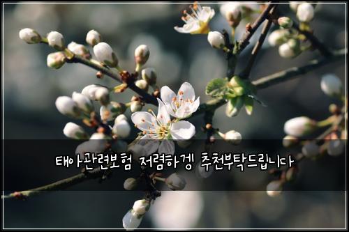 태아관련보험 저렴하겡  추천부탁드립니다