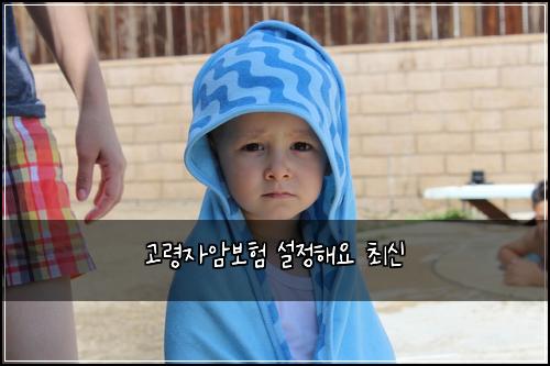 고령자암보험 설정해요  최신