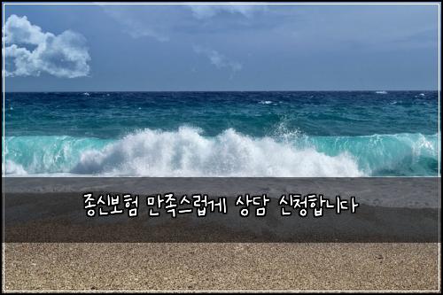 종신보험 만족스럽게  상담 신청합니다