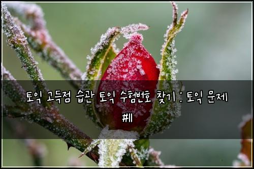 토익 고득점 습관 토익 수험번호 찾기 : 토익 문제 #11