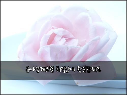 유아상해보험 최적안내  확실한체크