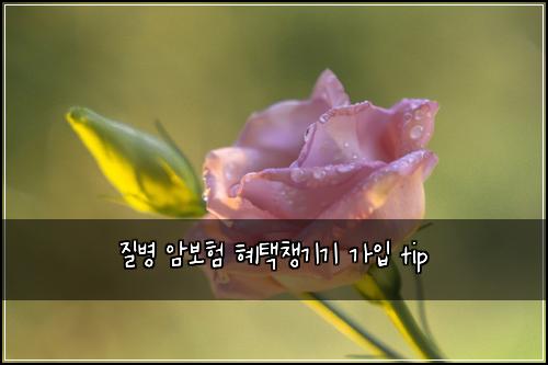 ์ง๋ณ ์๋ณดํ ํํ์ฑ๊ธฐ๊ธฐ ๊ฐ์
tip