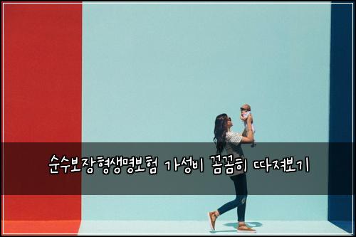 순수보장형생명보험 가성비 꼼꼼히 따져보기