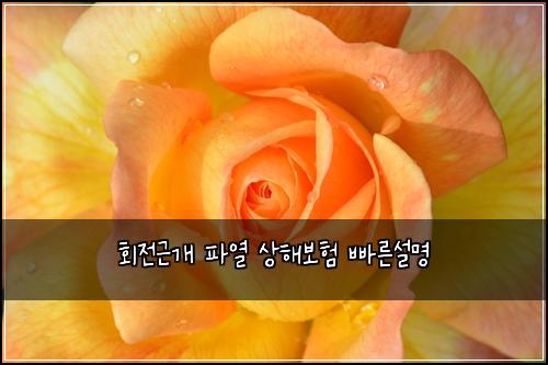 회전근개 파열 상해보험 빠른설명 