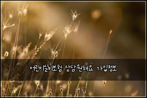 어린이실비보험 상담원해요  가입정보